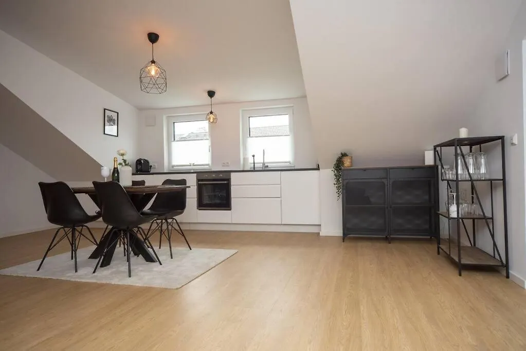 Central Penthouse Apartment W/ Terrace Bbq Bayreuth Allemagne